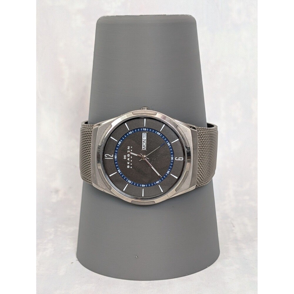 Skagen Denmark SKW6078 Titanium Case Mesh Band Day-Date Men's Watch Gray